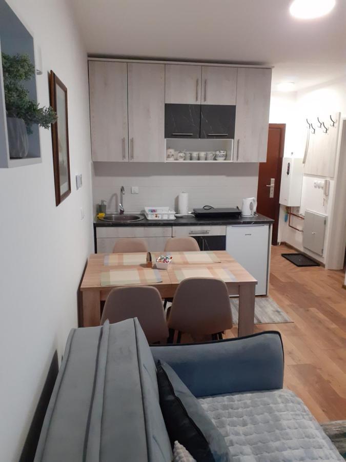 Andela I Aleksa Apartment Divčibare